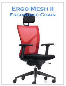 ErgoMesh II Mesh Chair | Ergonomic Chair | LIZO Singapore